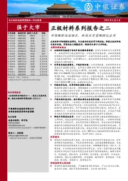 正极材料系列报告之二：市场规模快速增长，新技术有望规模化应用