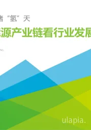 从氢能源产业链看行业发展：拨云雾，睹“氢”天