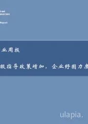 房地产行业周报：省级指导政策增加，企业纾困力度加大