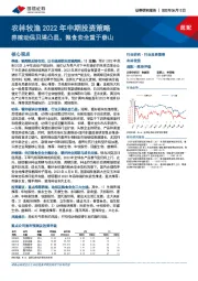 农林牧渔2022年中期投资策略：养殖动保贝塔凸显，粮食安全重于泰山