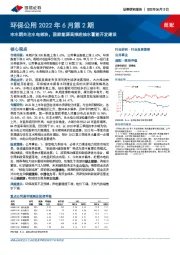 环保公用2022年6月第2期：丰水期关注水电板块，国家能源局推进抽水蓄能开发建设