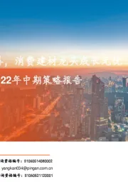 建材行业2022年中期策略报告：基本面筑底改善，消费建材龙头成长无忧