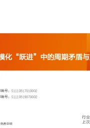 农林牧渔:生猪深度:规模化“跃进”中的周期矛盾与成长机遇