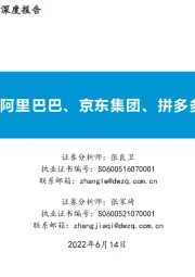 传媒互联网行业深度报告:电商平台-阿里巴巴、京东集团、拼多多对比研究