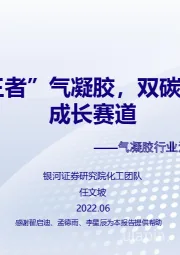 气凝胶行业深度报告：“隔热王者”气凝胶，双碳目标开启成长赛道