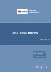 石油化工行业：OPEC+未完成5月增产目标