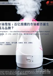 中国大消费行业市场简报：百亿规模的市场能否诞生黑马品牌？