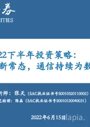 通信行业2022下半年投资策略：后疫情时代新常态，通信持续为数字经济赋能