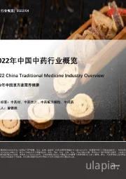 2022年中国中药行业概览(摘要版)