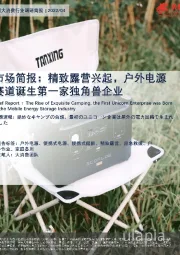 大消费行业市场简评：精致露营兴起，户外电源赛道诞生第一家独角兽企业