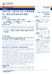 基础化工行业周报：油价下跌，上海石化火灾，甘肃滨农爆炸，欧洲天然气供应再生变数