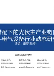 电气设备行业动态研究：硅料供需错配下的光伏主产业链回顾与展望