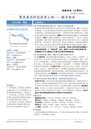 战略科技（计算机）行业周报：聚焦最强科技投资主线——数字经济