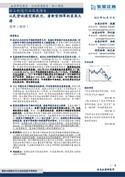 轻工制造行业深度报告：从民营快递突围跃迁，看新型烟草的星辰大海