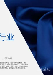 2022年中国涤纶行业短报告
