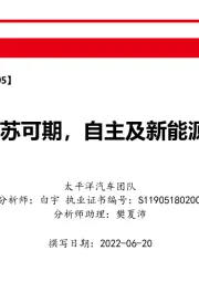 汽车销量月度跟踪报告：产销V型复苏可期，自主及新能源马力十足