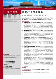 玻纤行业深度报告：行业成长性凸显，看好中长期景气度