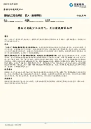 基础化工行业研究：德国计划减少工业用气，关注聚氨酯等品种