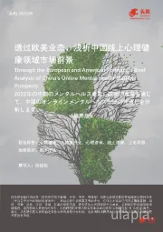 透过欧美业态，浅析中国线上心理健康领域市场前景（摘要版）