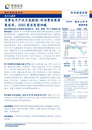 消费电子产业月度跟踪：促消费政策密集发布，22H2需求有望回暖