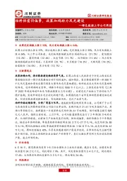 绿色能源上市公司周报：硅料供需仍偏紧，政策加码助力风光建设