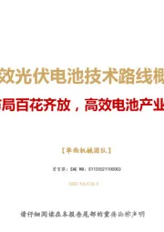 高效光伏电池技术路线概述：技术布局百花齐放，高效电池产业化提速