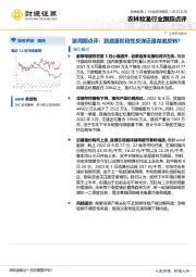 农林牧渔行业跟踪点评：猪周期点评：到底是阶段性反弹还是彻底反转？