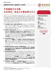 中国储能行业专题：东风将至，快速上行赛道潜力巨大