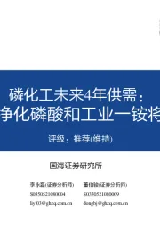 磷化工未来4年供需:磷矿石、净化磷酸和工业一铵将持续紧张