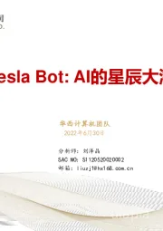 计算机：Tesla Bot：AI的星辰大海