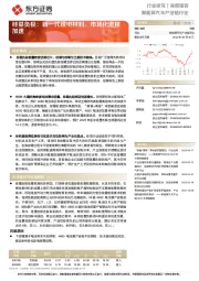 硅基负极：新一代锂电材料，市场化进程加速