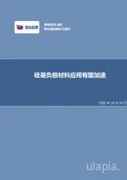 电力设备与新能源行业专题研究：硅基负极材料应用有望加速