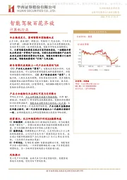 计算机行业：智能驾驶百花齐放