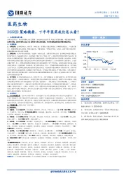 医药生物行业周报：2022H2策略精要，下半年医药我们怎么看？