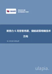 电力设备与新能源行业周报：新势力6月答卷亮眼，储能政策明确技术方向