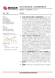 煤炭开采行业简评报告：海外动力煤价格走高，国内炼焦煤有望反弹