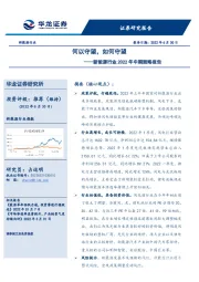 新能源行业2022年中期策略报告：何以守望，如何守望