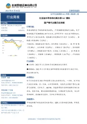 电子行业双周报2022年第2期总第2期：比亚迪半导体推出高功率SiC模块 国产替代主题仍在持续