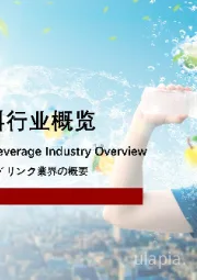 2022年中国能量饮料行业概览