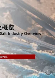 2022年中国锂盐行业概览