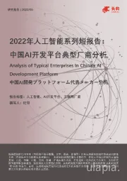 2022年人工智能系列短报告：中国AI开发平台典型厂商分析