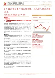 电力设备与新能源行业周观察：6月国内电动车产销表现亮眼，风光景气预计持续向上