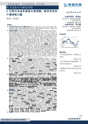 电力设备行业跟踪周报：6月国内电动车销售大超预期，欧洲光伏和户储持续火爆