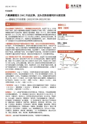 基础化工行业周报：六氟磷酸锂及DMC开启反弹，龙头优势显著利好长期发展