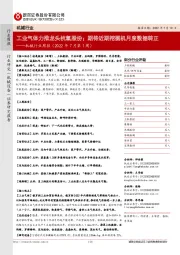 机械行业周报(2022年7月第1周):工业气体力推龙头杭氧股份;期待近期挖掘机月度数据转正