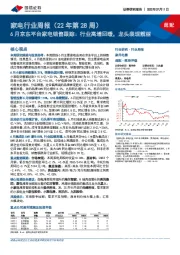 家电行业周报（22年第28周）：6月京东平台家电销售跟踪：行业高增回暖，龙头表现靓丽