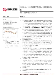 电子行业简评报告：NOR Flash、MCU销售额不断增长，头部聚集趋势加剧