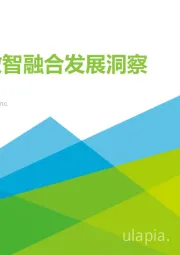 中国数智融合发展洞察