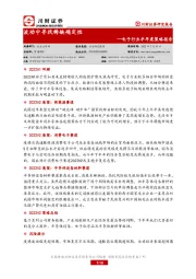 电子行业半年度策略报告：波动中寻找稀缺确定性