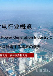 2022年中国生物质发电行业概览